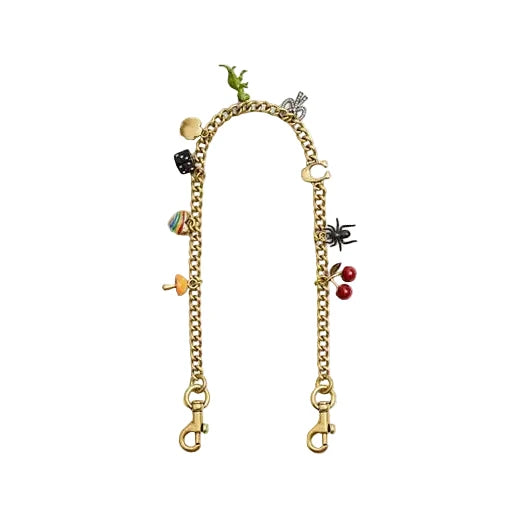 Chain Strap With Charms